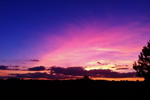 The Splendor that Surrounds Me