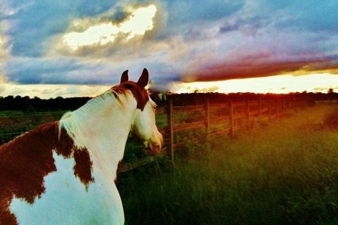 To Ride Again