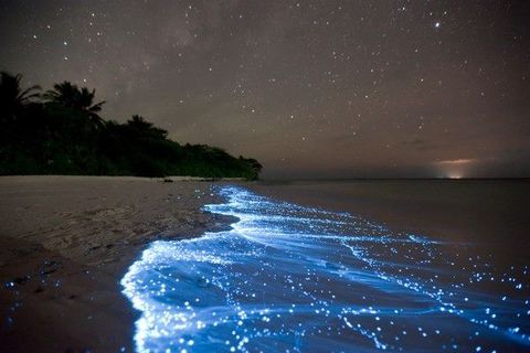 Elusive Ocean