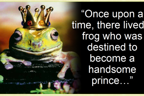 My !...Frog Prince !?x