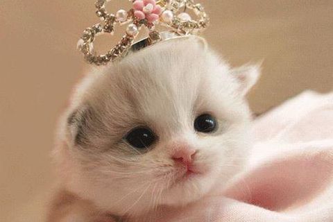 What,s Your,s Called ???x