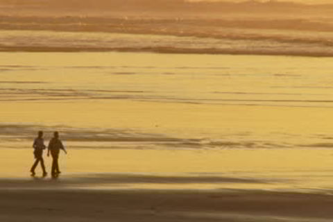 Along Life&#039;s Shore