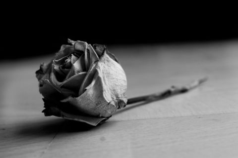 Suicidal Sweetheart