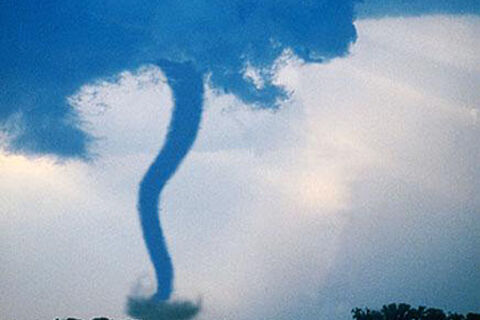 Twister