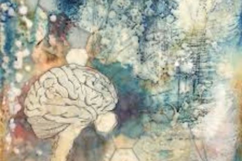 The Illusion of Knowledge