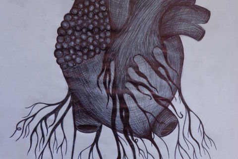MY ROOTS!!