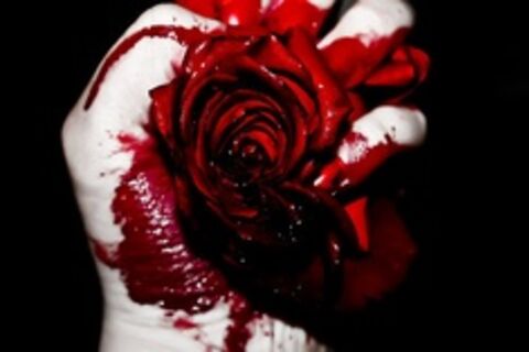 THE ROSE &amp; THE THORN