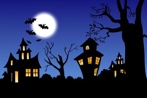 Halloween thrills 