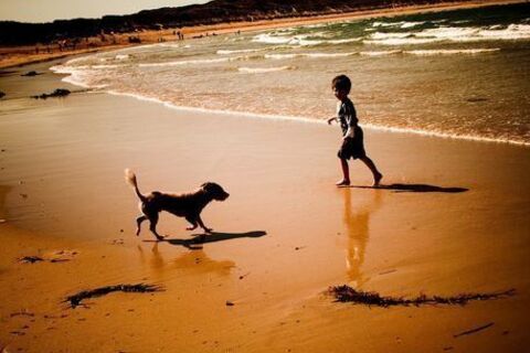 Halcyon Days