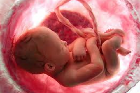 A Child Unborn