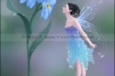 FORGET-ME-NOT !?x