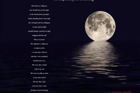 Awaken Me from Dreaming