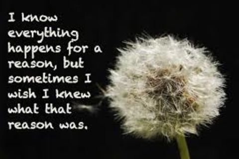 I Wish !?X