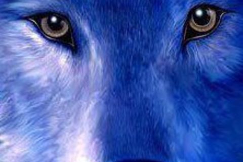 Deep in your soul Deep in your soul