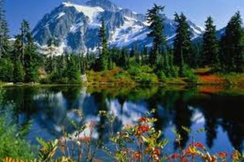 Travel the world