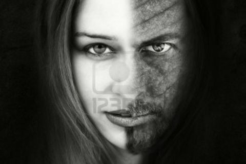 THE DEVIL'S IN THE DETAIL (sequel to The Devil's Work)
