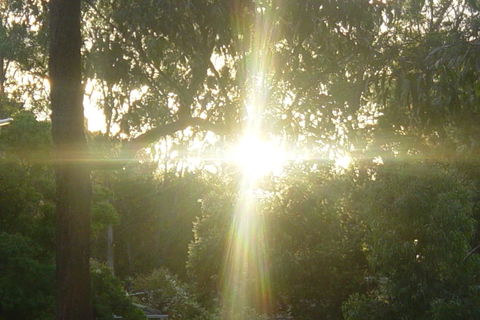 On me the Sun will shine