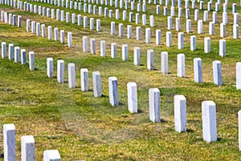 The fallen 