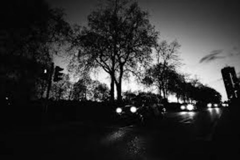 THE TAXI DRIVER'S RIDE