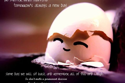 POOR HUMPTY !?x