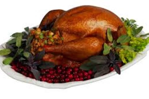Thankful thanksgiving