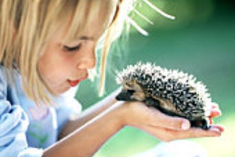 Ode to Prickly Things