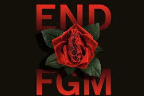F.G.M ( THE CRUEL CUT !)