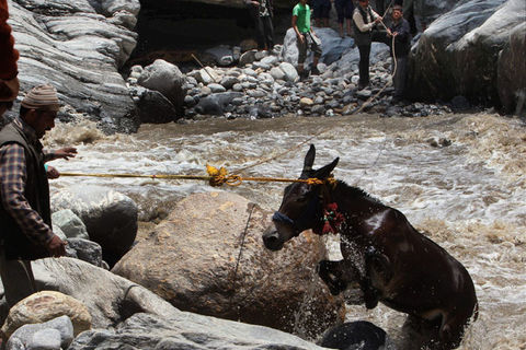 1.4.NECESSITY OF CHARITY