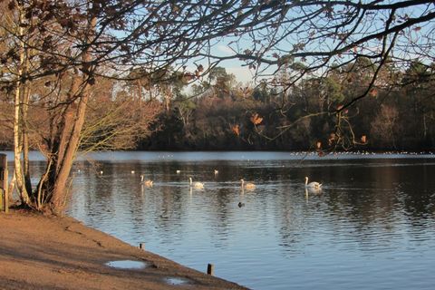 Perfect Autumnal Memories