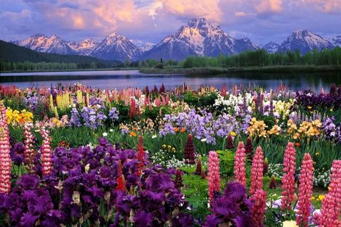 Fascinating World