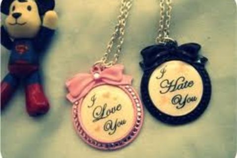 I LOVE 2 HATE YOU !?X