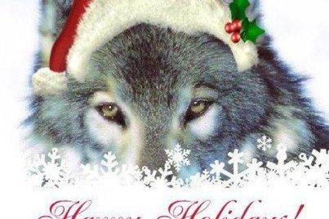 Christmas Wolf 