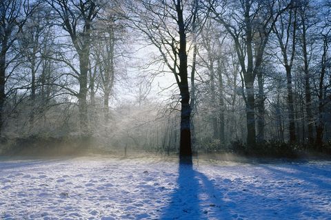 Winter