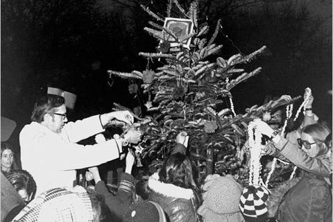City Parks Light Up