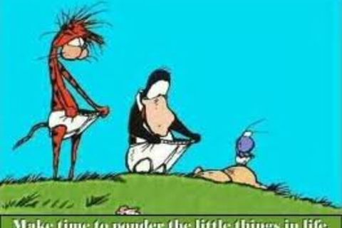 THE..LITTLE THING.S !?X