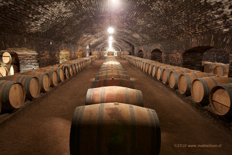 Wine