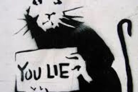 ANOTHER..RAT IS BORN !?X