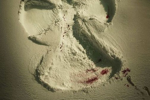 THE FALLEN SNOW ANGEL