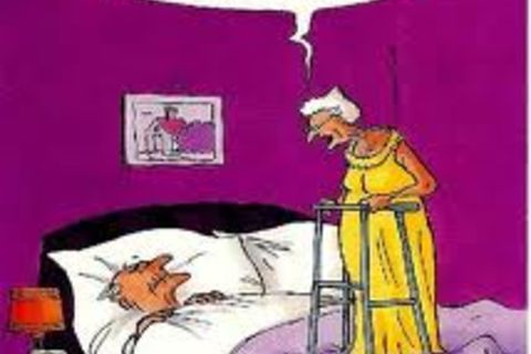 &quot; HIS..ONION,S !?&quot; X