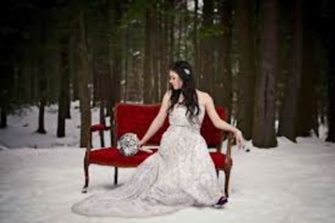 Red Velvet Shoes