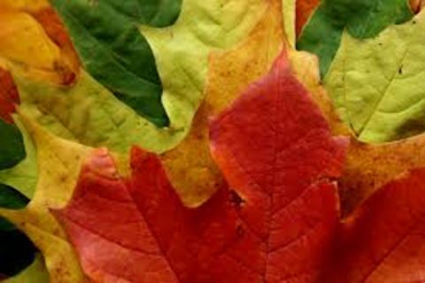 Season of Change
