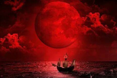 Dream of Sailing