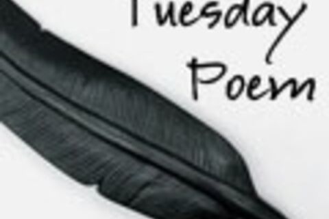 For the poets 
