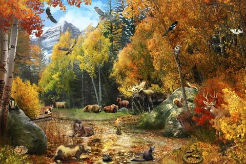 Nature&#039;s Ways