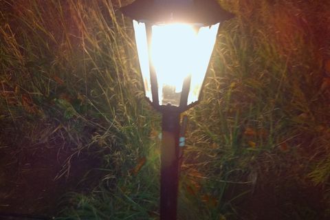 Doth the moth know