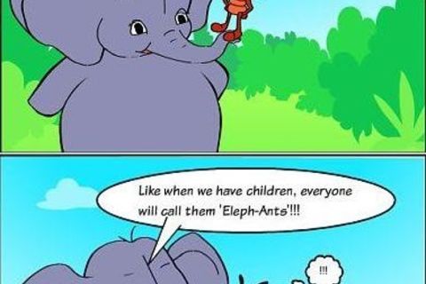 The ant and the elephant 