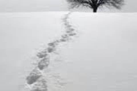 Winter Runaway 