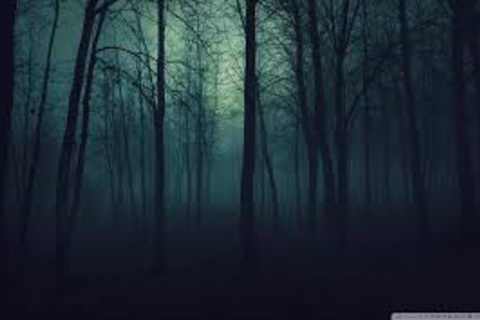 Dark forest