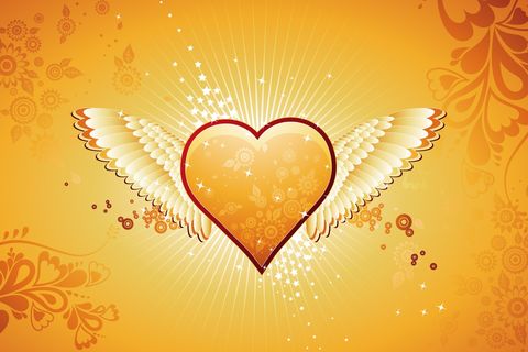 Wings Of Love