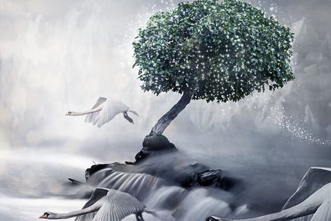 The Flight of Hope